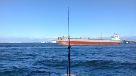 久々の播磨新島釣行