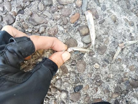 渋い状況の中でのヒット