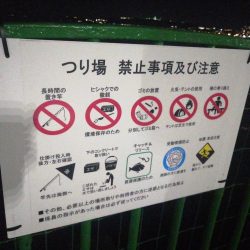 今週は先週よりも渋かった