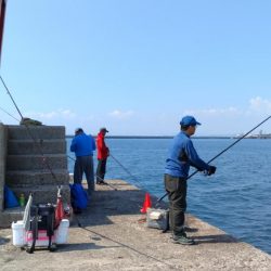 型が良くなり始めた播磨新島のキス