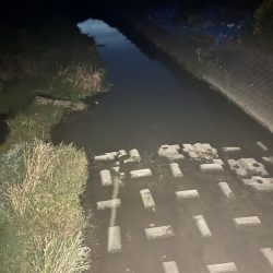 リベンジならず