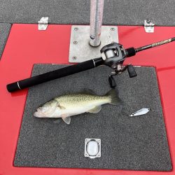 ディープホールでロクマル他