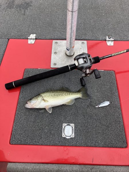 ディープホールでロクマル他