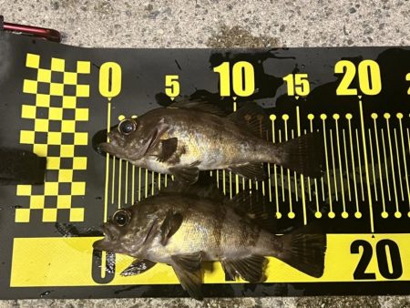 爆風でしたが…