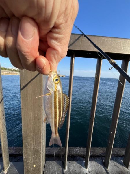 激渋〜カマボコの素〜