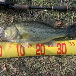 秋を感じながらのバス釣り