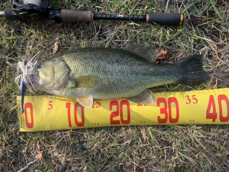 秋を感じながらのバス釣り