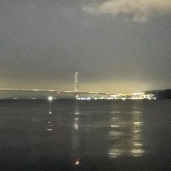 大サバ祭り！！