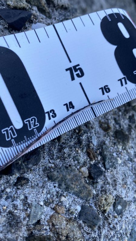 太刀魚居ました