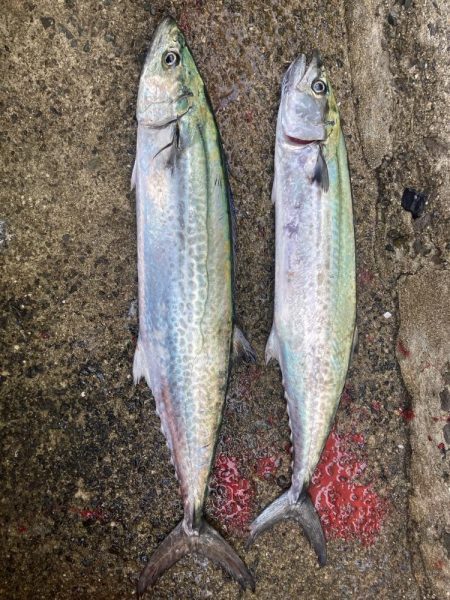 2023ライトゲーム第39戦