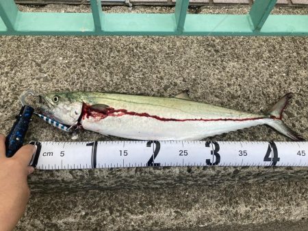 ライトショアジギング