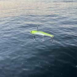 ラッキー太刀魚