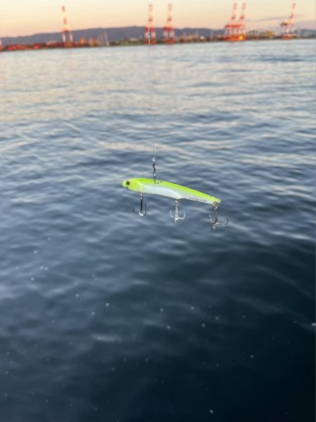 ラッキー太刀魚