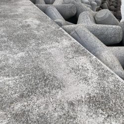 毎年恒例の年1イイダコ釣り