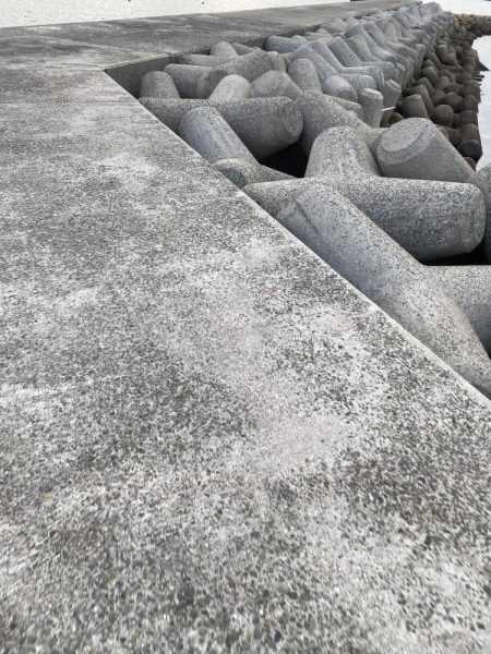 毎年恒例の年1イイダコ釣り