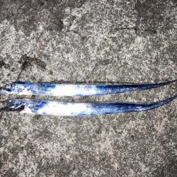 昼グレと夜タチ