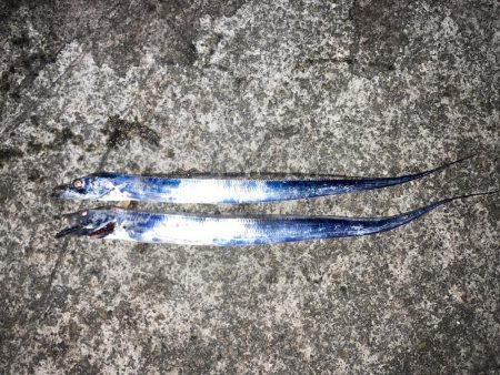 昼グレと夜タチ