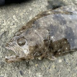 メッキが消えた…