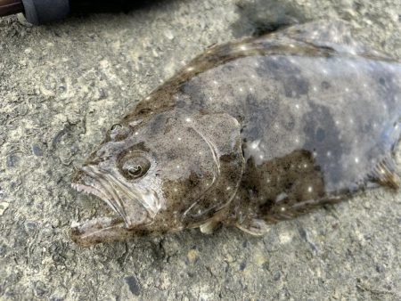 メッキが消えた…