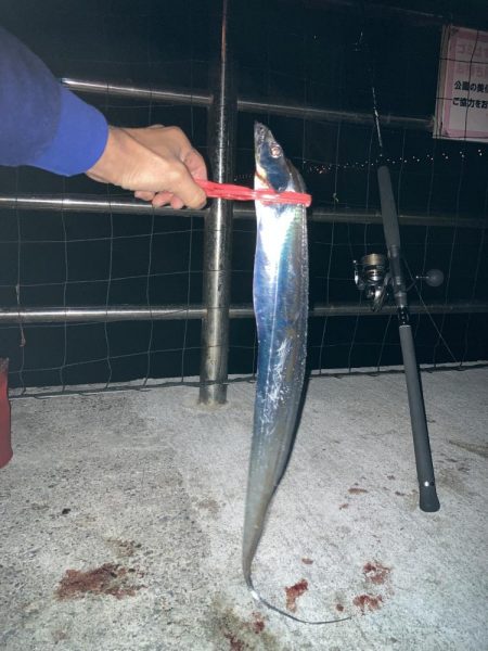 仕事帰りにタチウオ