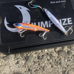 またしても寝坊からの太刀魚