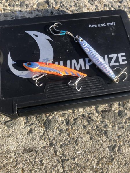 またしても寝坊からの太刀魚