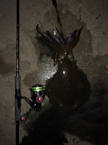 エギング　仕事帰り新潟市内釣行