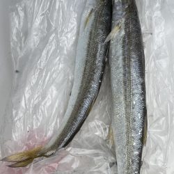 遠征ライトゲーム！