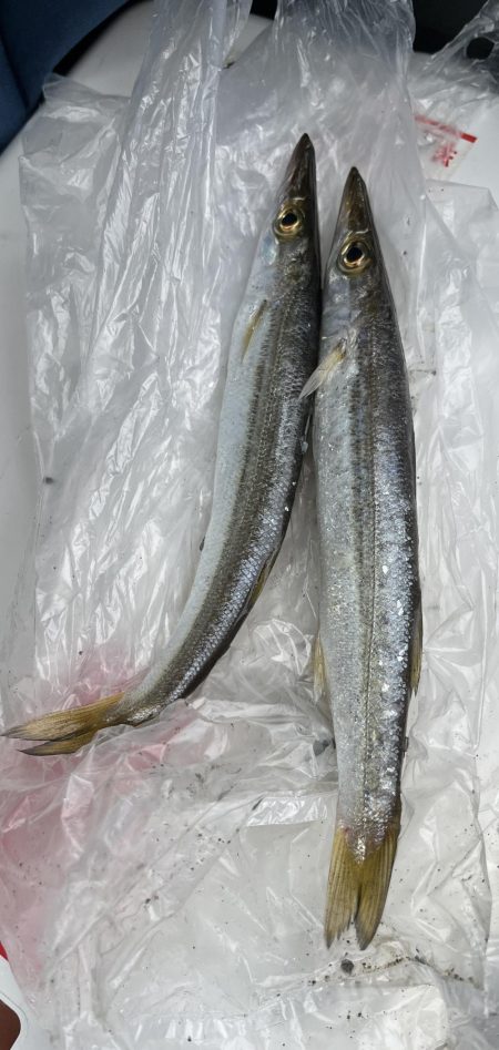 遠征ライトゲーム！