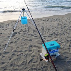 落ちギス釣り　ピンギス主体