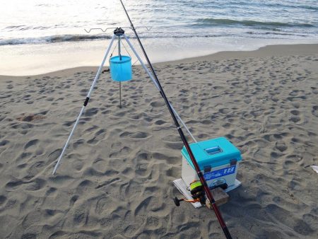 落ちギス釣り　ピンギス主体