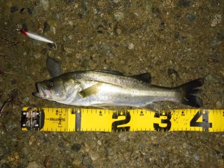 静けさの中での、まさかのHit！