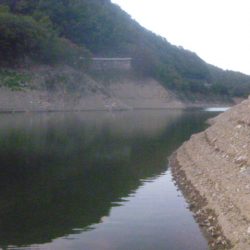秋の淡水魚釣り