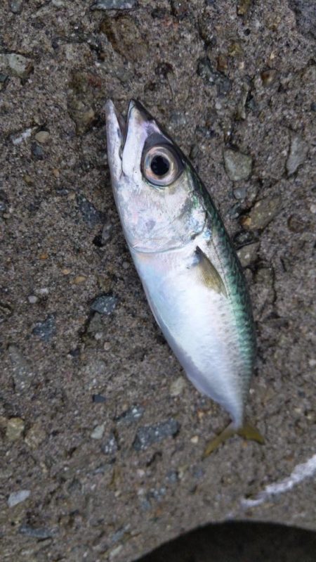 見渡す限りでNo.1