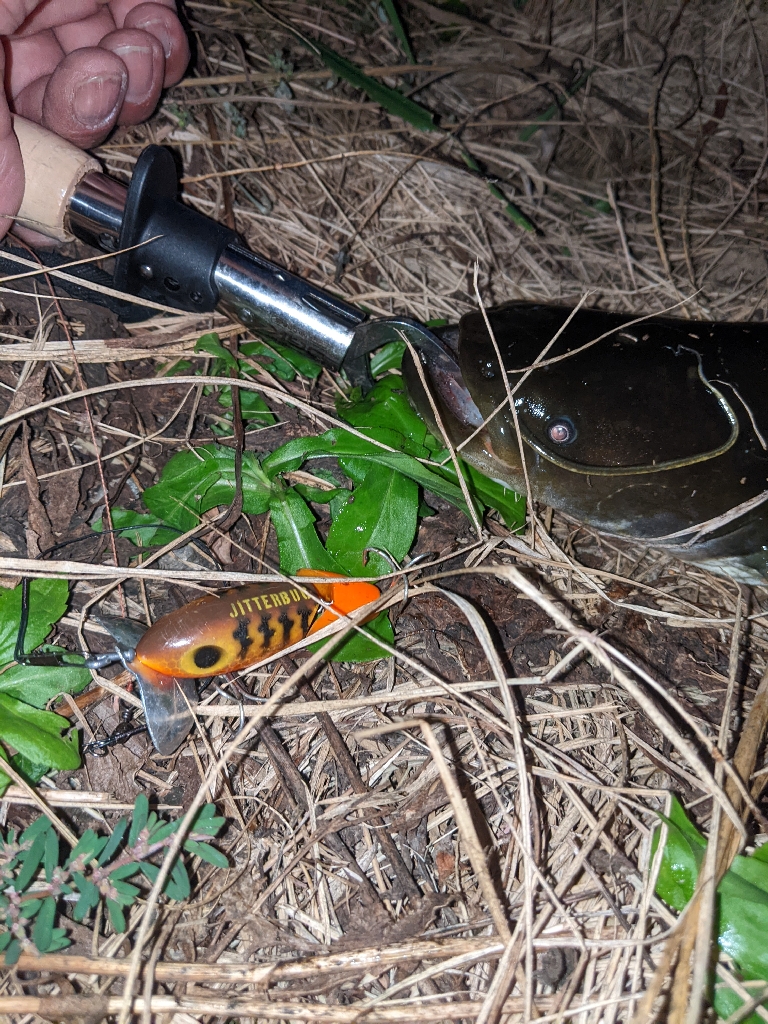 バスつれたのに…