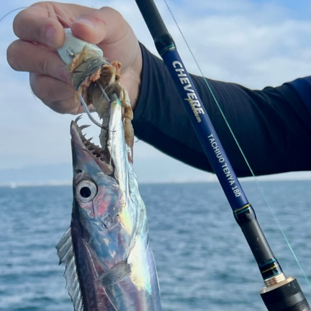 タチウオ/タチウオジギング・タチウオテンヤ