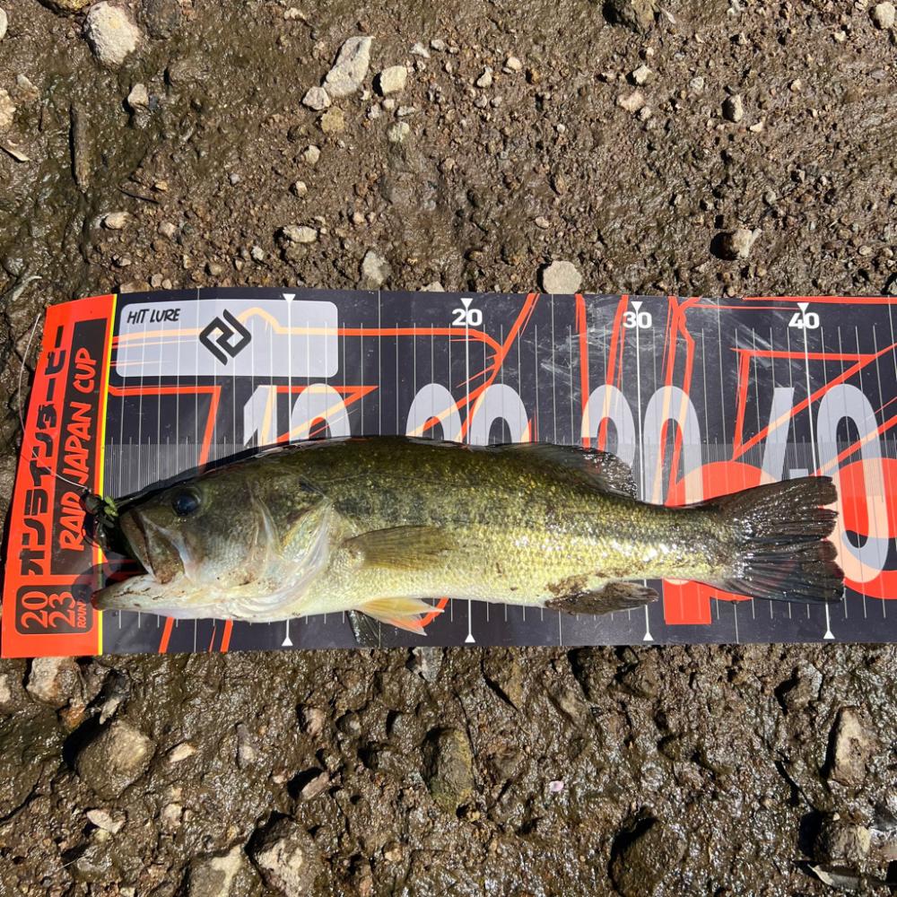 サイトでの一本‼︎