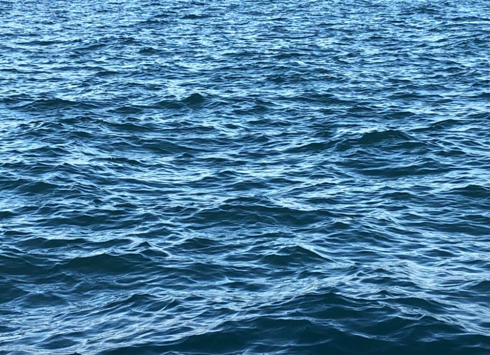 朝マズメの時合のみ