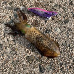 曇りのち、強風のち、雨。