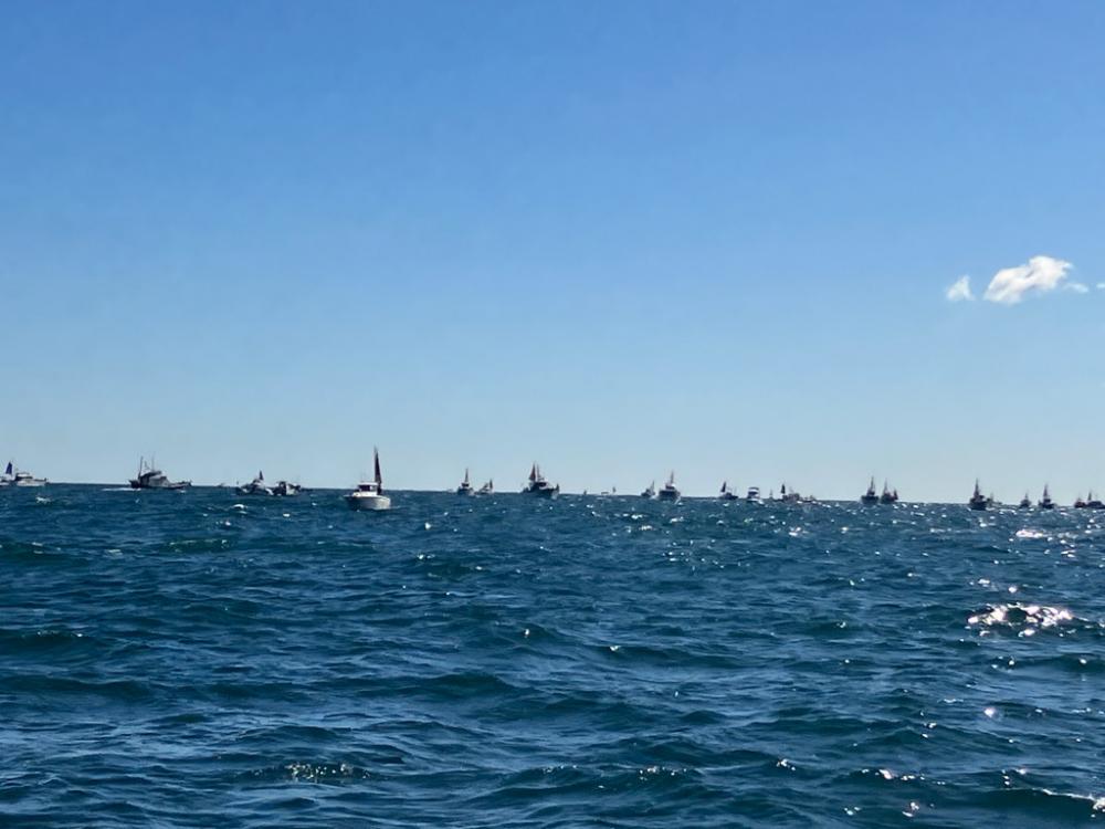 初めてのライトジギング