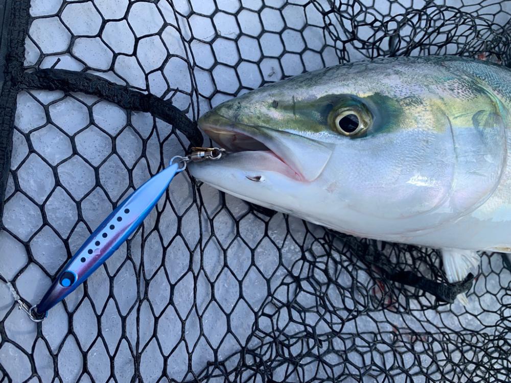 ブレードジギング