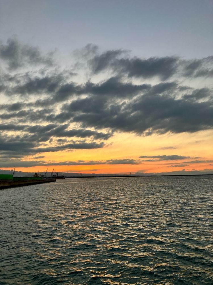 久々のチニング