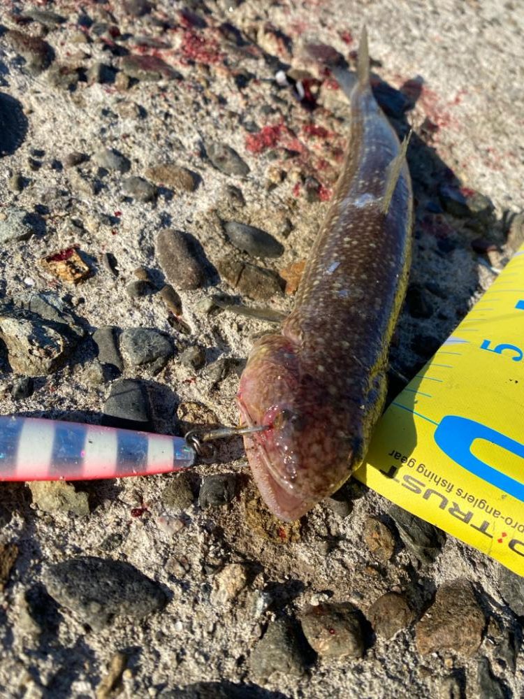 フックのメンテは必要！？