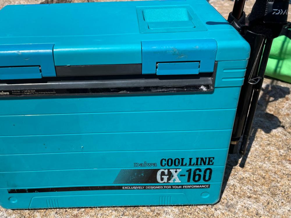 相変わらずのバラシ。