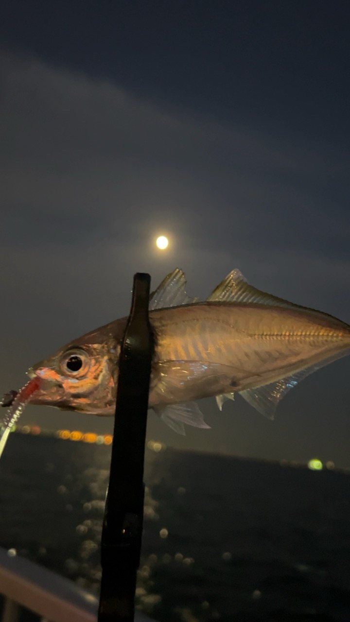 デイアジング♪