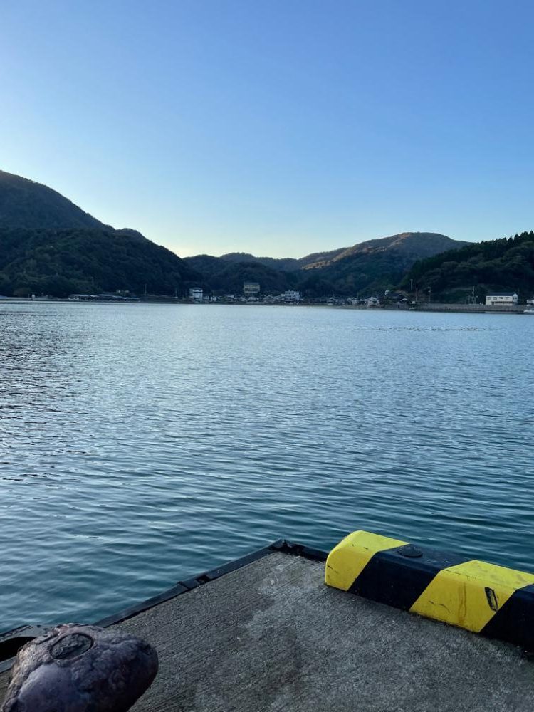 朝マズメアジング 好調25cm〜3匹