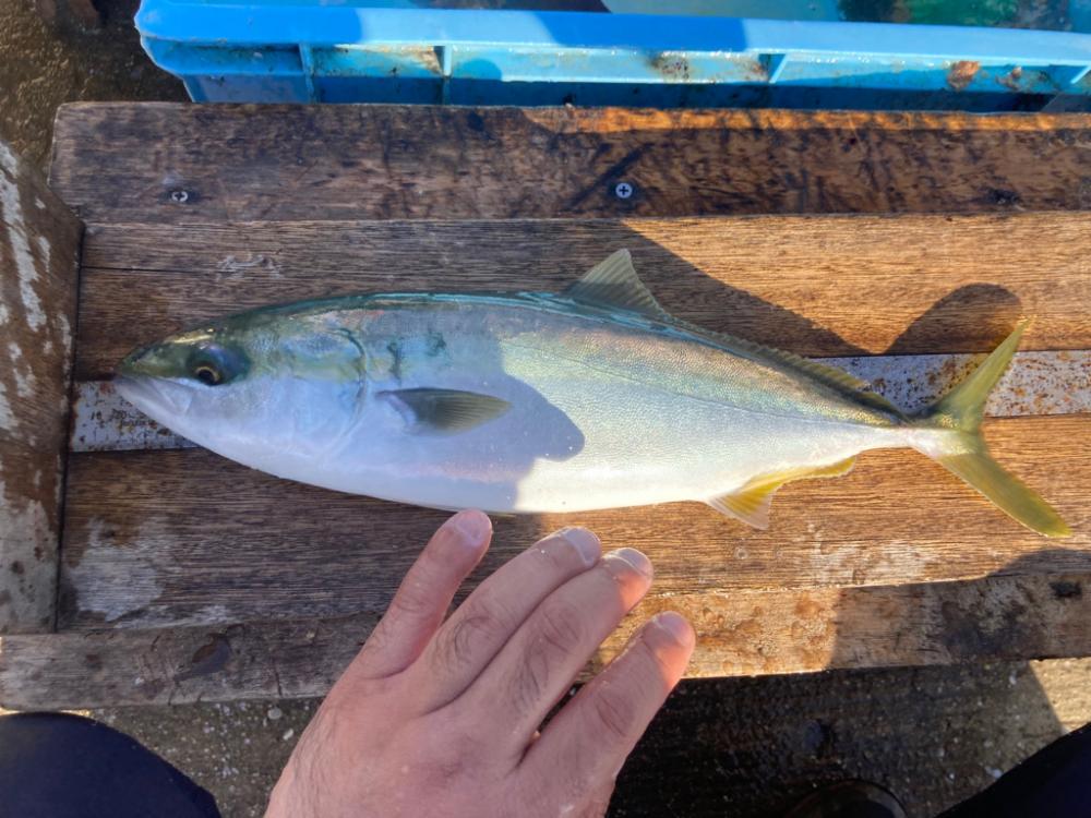 23’s 平磯マダイ祭り