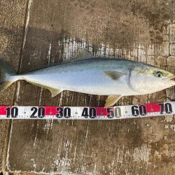 ようやく釣れました^_^