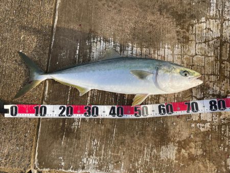 ようやく釣れました^_^