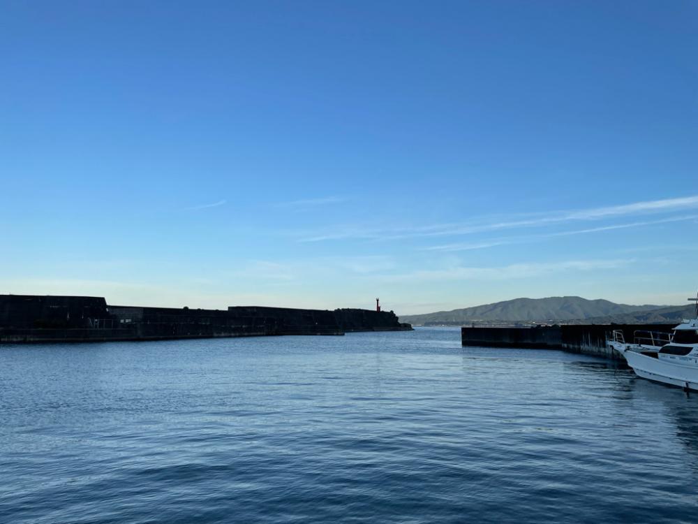 有り合わせタックルでイシガキダイ